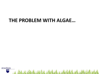 Algae management for golf course putting greens.