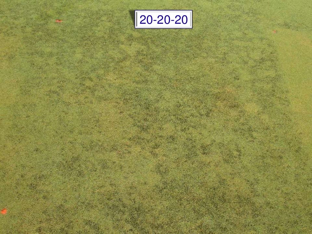 Algae management for golf course putting greens.