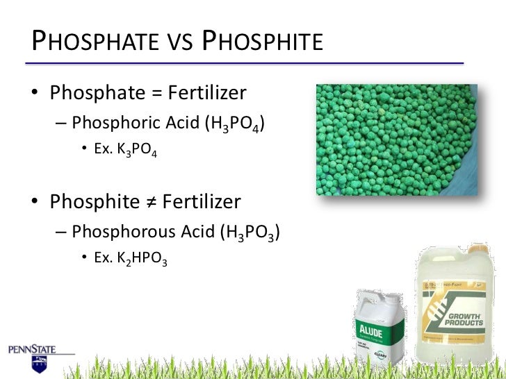 Algae management for golf course putting greens.