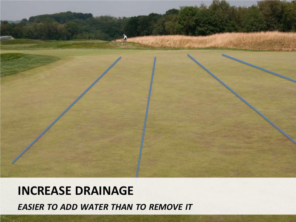 Algae management for golf course putting greens.