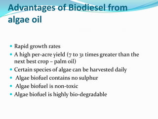 Advantages of Biodiesel from
algae oil

 Rapid growth rates
 A high per-acre yield (7 to 31 times greater than the
    next best crop – palm oil)
   Certain species of algae can be harvested daily
   Algae biofuel contains no sulphur
   Algae biofuel is non-toxic
   Algae biofuel is highly bio-degradable
 