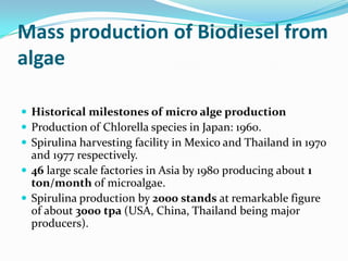 Mass production of Biodiesel from
algae

 Historical milestones of micro alge production
 Production of Chlorella species in Japan: 1960.
 Spirulina harvesting facility in Mexico and Thailand in 1970
  and 1977 respectively.
 46 large scale factories in Asia by 1980 producing about 1
  ton/month of microalgae.
 Spirulina production by 2000 stands at remarkable figure
  of about 3000 tpa (USA, China, Thailand being major
  producers).
 