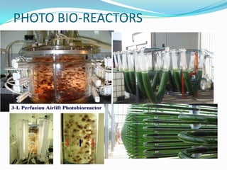 PHOTO BIO-REACTORS
 
