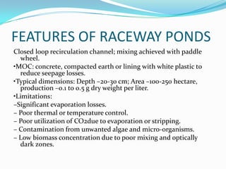 FEATURES OF RACEWAY PONDS
Closed loop recirculation channel; mixing achieved with paddle
  wheel.
•MOC: concrete, compacted earth or lining with white plastic to
  reduce seepage losses.
•Typical dimensions: Depth –20-30 cm; Area –100-250 hectare,
  production –0.1 to 0.5 g dry weight per liter.
•Limitations:
–Significant evaporation losses.
– Poor thermal or temperature control.
– Poor utilization of CO2due to evaporation or stripping.
– Contamination from unwanted algae and micro-organisms.
– Low biomass concentration due to poor mixing and optically
  dark zones.
 