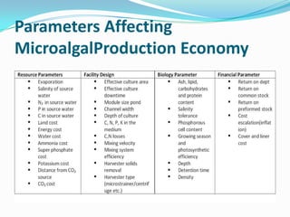 Parameters Affecting
MicroalgalProduction Economy
 