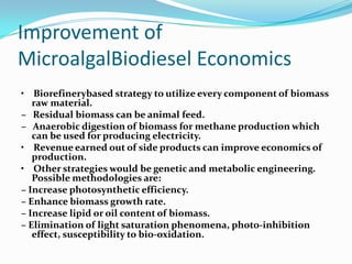 Improvement of
MicroalgalBiodiesel Economics
• Biorefinerybased strategy to utilize every component of biomass
   raw material.
– Residual biomass can be animal feed.
– Anaerobic digestion of biomass for methane production which
   can be used for producing electricity.
• Revenue earned out of side products can improve economics of
   production.
• Other strategies would be genetic and metabolic engineering.
   Possible methodologies are:
– Increase photosynthetic efficiency.
– Enhance biomass growth rate.
– Increase lipid or oil content of biomass.
– Elimination of light saturation phenomena, photo-inhibition
   effect, susceptibility to bio-oxidation.
 
