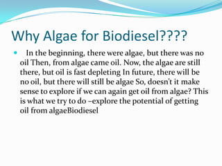 Why Algae for Biodiesel????
     In the beginning, there were algae, but there was no
    oil Then, from algae came oil. Now, the algae are still
    there, but oil is fast depleting In future, there will be
    no oil, but there will still be algae So, doesn’t it make
    sense to explore if we can again get oil from algae? This
    is what we try to do –explore the potential of getting
    oil from algaeBiodiesel
 