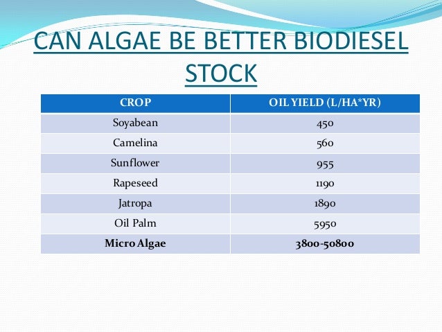 Production of Biodiesel from Algae