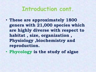 Introduction cont.
• These are approximately 1800
genera with 21,000 species which
are highly diverse with respect to
habitat , size, organization ,
Physiology ,biochemistry and
reproduction.
• Phycology is the study of algae
 