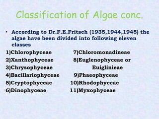 Classification of Algae conc.
• According to Dr.F.E.Fritsch (1935,1944,1945) the
algae have been divided into following eleven
classes
1)Chlorophyceae 7)Chloromonadineae
2)Xanthophyceae 8)Euglenophyceae or
3)Chrysophyceae Euiglinieae
4)Bacillariophyceae 9)Phaeophyceae
5)Cryptophyceae 10)Rhodophyceae
6)Dinophyceae 11)Myxophyceae
 