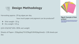 Algae product | PPTX