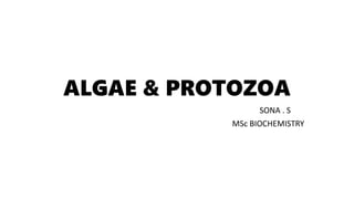 ALGAE & PROTOZOA
SONA . S
MSc BIOCHEMISTRY
 