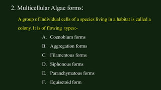 Algae Range of thallus BSc part I Semester I BOTANY.pptx
