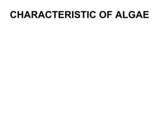 CHARACTERISTIC OF ALGAE 