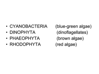 <ul><li>CYANOBACTERIA  (blue-green algae) </li></ul><ul><li>DINOPHYTA  (dinoflagellates) </li></ul><ul><li>PHAEOPHYTA  (br...
