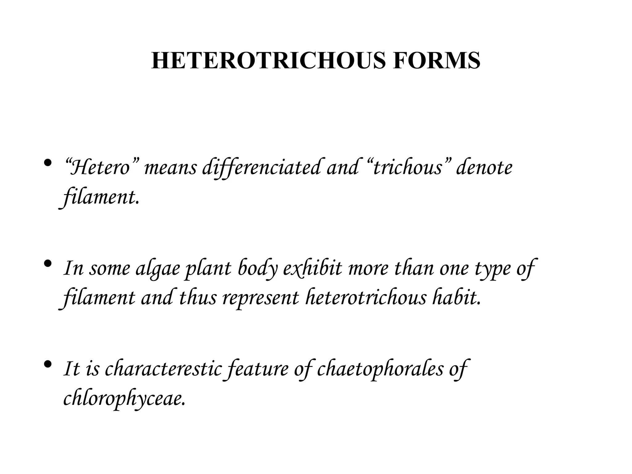 HETEROTRICHOUS FORMS
• “Hetero” means differenciated and “trichous” denote
filament.
• In some algae plant body exhibit more than one type of
filament and thus represent heterotrichous habit.
• It is characterestic feature of chaetophorales of
chlorophyceae.
 