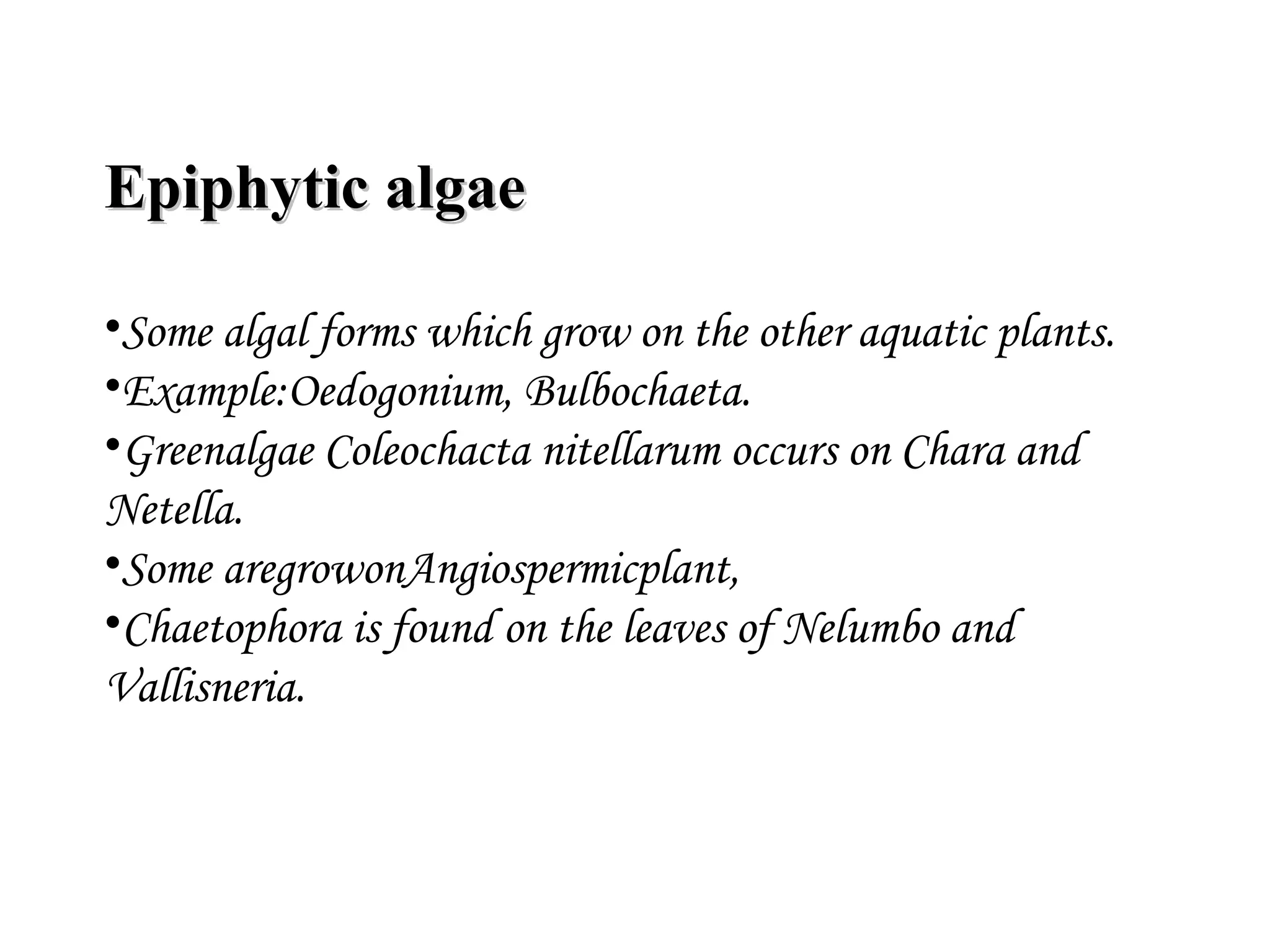 Epiphytic algaeEpiphytic algae
•Some algal forms which grow on the other aquatic plants.
•Example:Oedogonium, Bulbochaeta.
•Greenalgae Coleochacta nitellarum occurs on Chara and
Netella.
•Some aregrowonAngiospermicplant,
•Chaetophora is found on the leaves of Nelumbo and
Vallisneria.
 