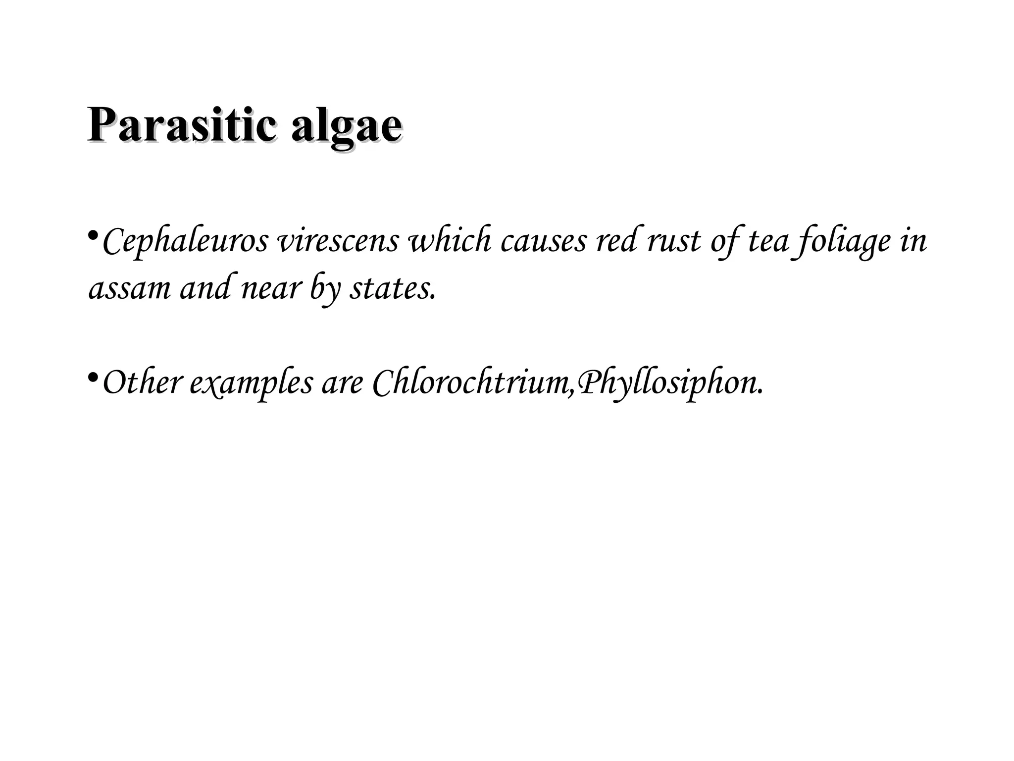Parasitic algaeParasitic algae
•Cephaleuros virescens which causes red rust of tea foliage in
assam and near by states.
•Other examples are Chlorochtrium,Phyllosiphon.
 