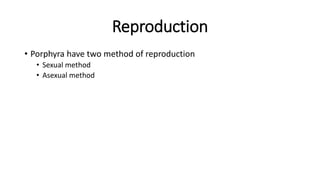 Reproduction
• Porphyra have two method of reproduction
• Sexual method
• Asexual method
 