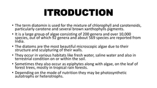 ITRODUCTION
• The term diatomin is used for the mixture of chlorophyll and carotenoids,
particularly carotene and several brown xanthophylls pigments.
• It is a large group of algae consisting of 200 genera and over 10,000
species, out of which 92 genera and about 569 species are reported from
India.
• The diatoms are the most beautiful microscopic algae due to their
structure and sculpturing of their walls.
• They occur in various habitats like fresh water, saline water and also in
terrestrial condition on or within the soil.
• Sometimes they also occur as epiphytes along with algae, on the leaf of
forest trees, mostly in tropical rain forests.
• Depending on the mode of nutrition they may be photosynthetic
autotrophs or heterotrophs.
 