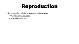 Reproduction
• Reproduction of diatoms occur in two ways
• Vegetative Reproduction
• Sexual Reproduction
 