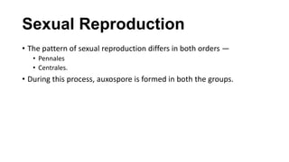 Sexual Reproduction
• The pattern of sexual reproduction differs in both orders —
• Pennales
• Centrales.
• During this process, auxospore is formed in both the groups.
 