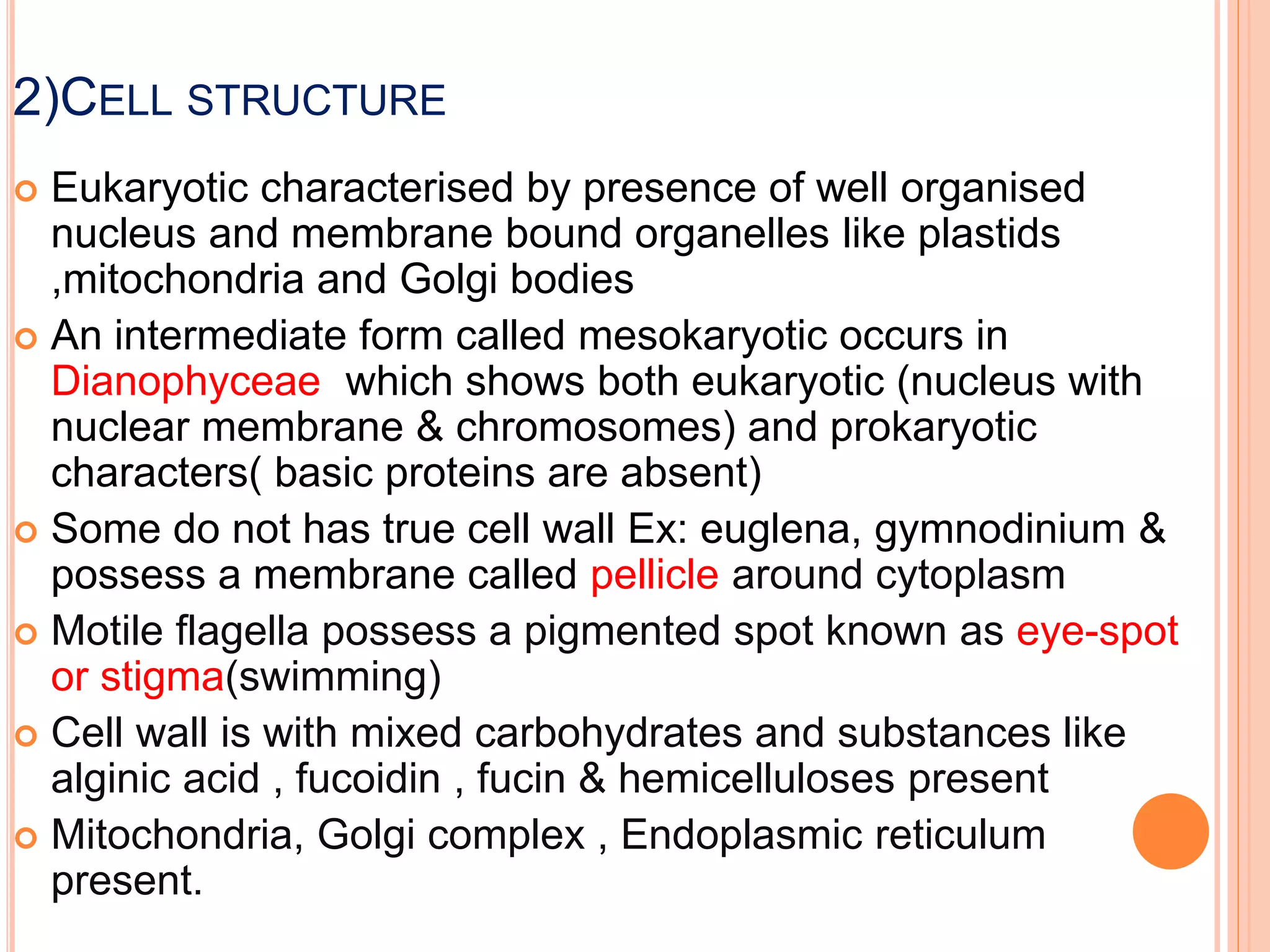 2)CELL STRUCTURE
 Eukaryotic characterised by presence of well organised
nucleus and membrane bound organelles like plastids
,mitochondria and Golgi bodies
 An intermediate form called mesokaryotic occurs in
Dianophyceae which shows both eukaryotic (nucleus with
nuclear membrane & chromosomes) and prokaryotic
characters( basic proteins are absent)
 Some do not has true cell wall Ex: euglena, gymnodinium &
possess a membrane called pellicle around cytoplasm
 Motile flagella possess a pigmented spot known as eye-spot
or stigma(swimming)
 Cell wall is with mixed carbohydrates and substances like
alginic acid , fucoidin , fucin & hemicelluloses present
 Mitochondria, Golgi complex , Endoplasmic reticulum
present.
 