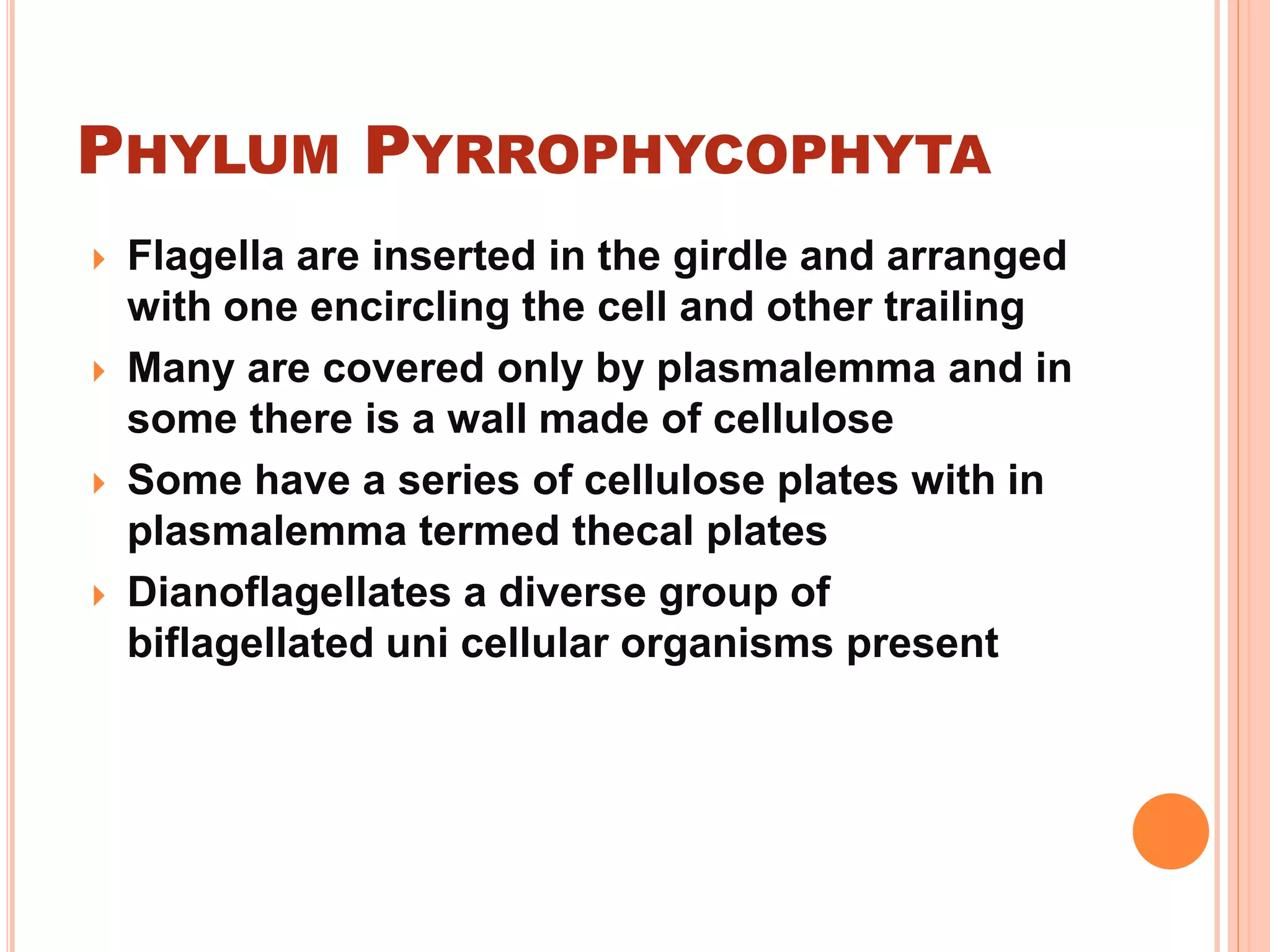 PHYLUM PYRROPHYCOPHYTA
 Flagella are inserted in the girdle and arranged
with one encircling the cell and other trailing
 Many are covered only by plasmalemma and in
some there is a wall made of cellulose
 Some have a series of cellulose plates with in
plasmalemma termed thecal plates
 Dianoflagellates a diverse group of
biflagellated uni cellular organisms present
 