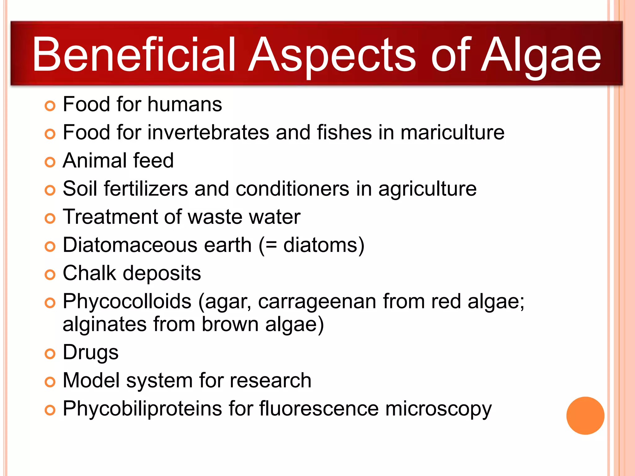  Food for humans
 Food for invertebrates and fishes in mariculture
 Animal feed
 Soil fertilizers and conditioners in agriculture
 Treatment of waste water
 Diatomaceous earth (= diatoms)
 Chalk deposits
 Phycocolloids (agar, carrageenan from red algae;
alginates from brown algae)
 Drugs
 Model system for research
 Phycobiliproteins for fluorescence microscopy
Beneficial Aspects of Algae
 