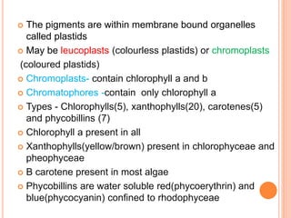  The pigments are within membrane bound organelles
called plastids
 May be leucoplasts (colourless plastids) or chromoplasts
(coloured plastids)
 Chromoplasts- contain chlorophyll a and b
 Chromatophores -contain only chlorophyll a
 Types - Chlorophylls(5), xanthophylls(20), carotenes(5)
and phycobillins (7)
 Chlorophyll a present in all
 Xanthophylls(yellow/brown) present in chlorophyceae and
pheophyceae
 B carotene present in most algae
 Phycobillins are water soluble red(phycoerythrin) and
blue(phycocyanin) confined to rhodophyceae
 