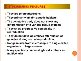 DISTINGUISHING FEATURES:
 They are photoautotrophs
 They primarily inhabit aquatic habitats
 The vegetative body does not show any
differentiation into various tissue systems
 They show progressive complexity in
reproduction
 They do not develop embryo after fusion of
gamates during sexual reproduction
 Range in size from microscopic to single celled
organisms to large seaweed
 Many species occur as single cells others as
multicellular
 