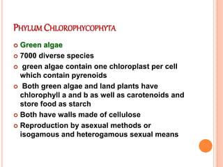 PHYLUM CHLOROPHYCOPHYTA
 Green algae
 7000 diverse species
 green algae contain one chloroplast per cell
which contain pyrenoids
 Both green algae and land plants have
chlorophyll a and b as well as carotenoids and
store food as starch
 Both have walls made of cellulose
 Reproduction by asexual methods or
isogamous and heterogamous sexual means
 