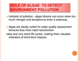 ROLE OF ALGAE TO DETECT
ENVIRONMENT POLLUTION
 Indicator of pollution - algae blooms can occur when too
much nitrogen and phosphorus enter a waterway.
 Algae are ideally suited for water quality assessment
because they have rapid reproduction
rates and very short life cycles, making them valuable
indicators of short-term impacts.
 