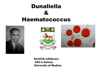 Dunaliella
&
Haematococcus
Karthick.s(Daleson)
CAS in botany
University of Madras
 