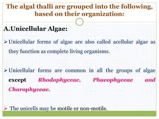 The algal thalli are grouped into the following,
based on their organization:
A.Unicellular Algae:
Unicellular forms of algae are also called acellular algae as
they function as complete living organisms.
Unicellular forms are common in all the groups of algae
except Rhodophyceae, Phaeophyceae and
Charophyceae.
 The unicells may be motile or non-motile.
 