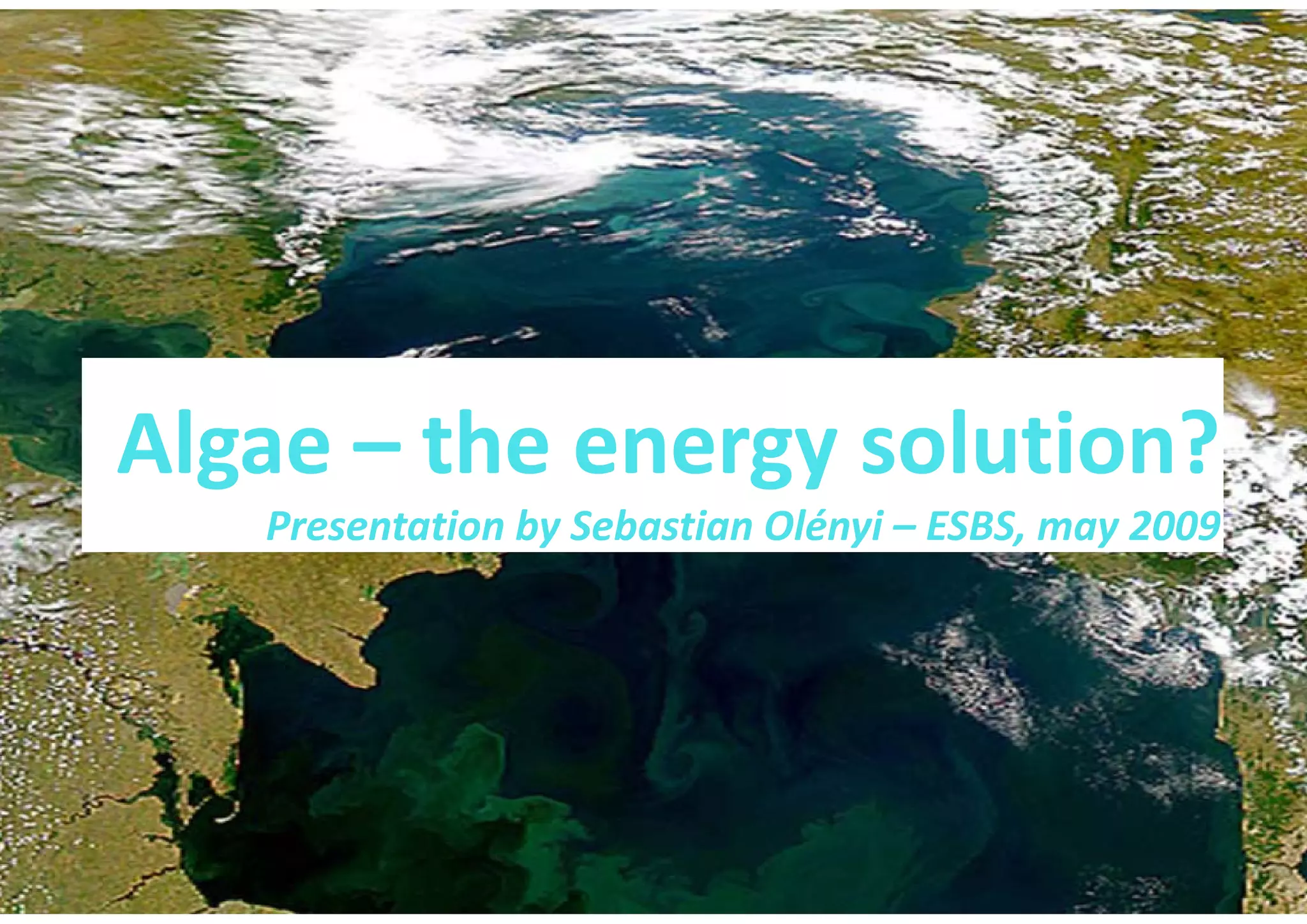 Algae – The Energy Solution2