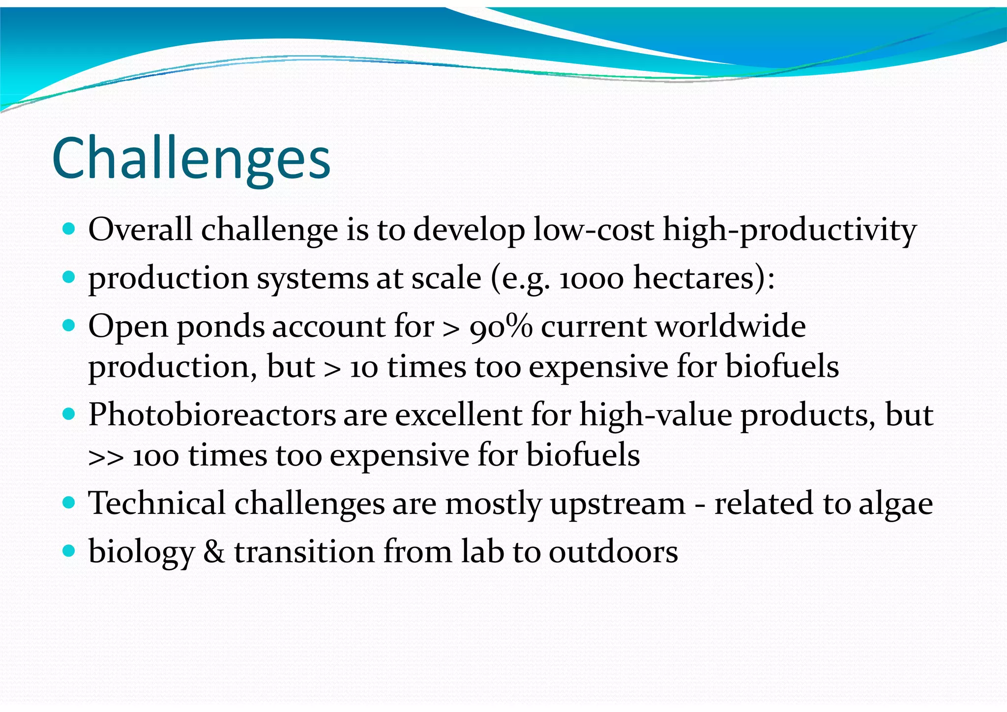 Algae – The Energy Solution2