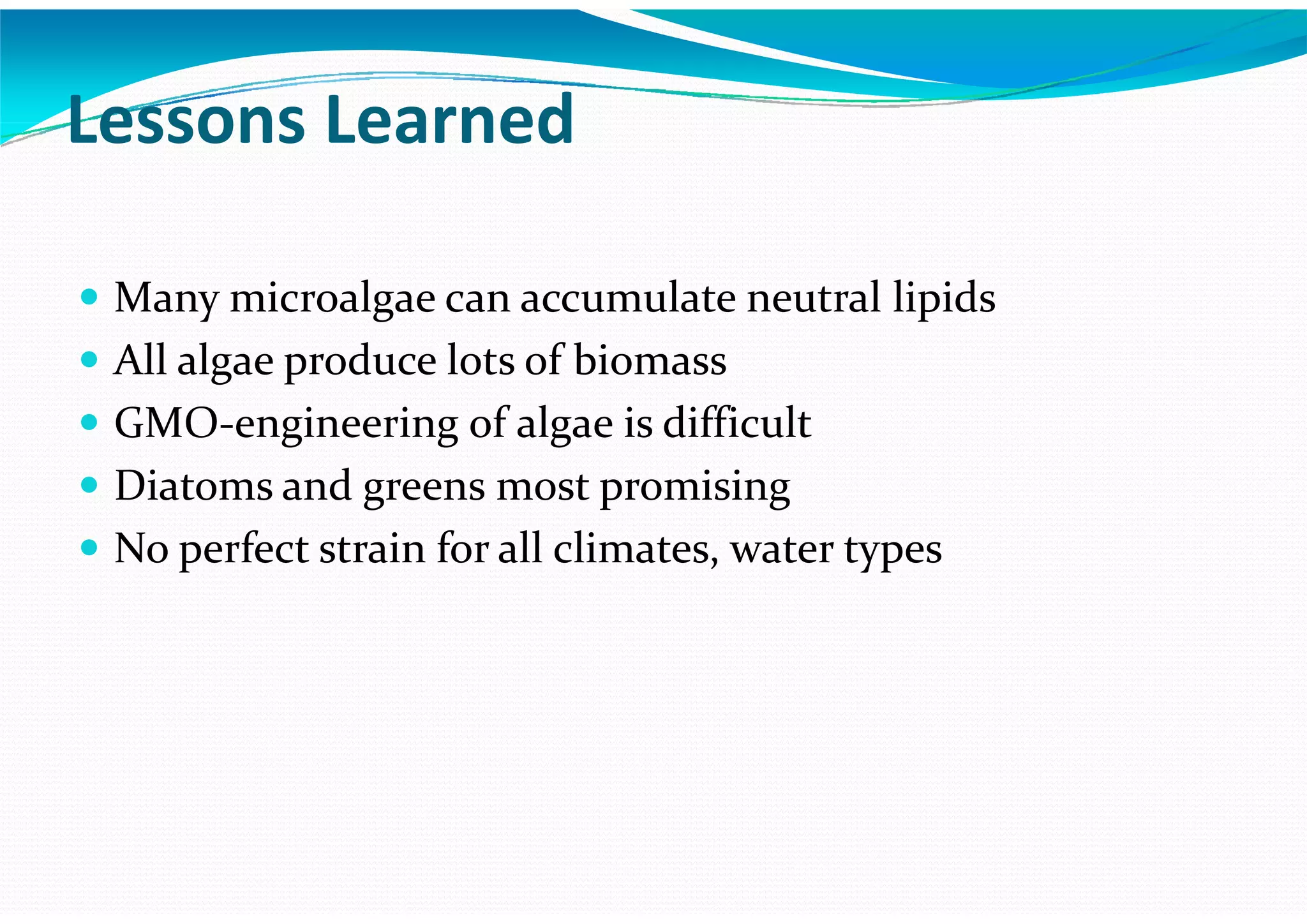 Algae – The Energy Solution2