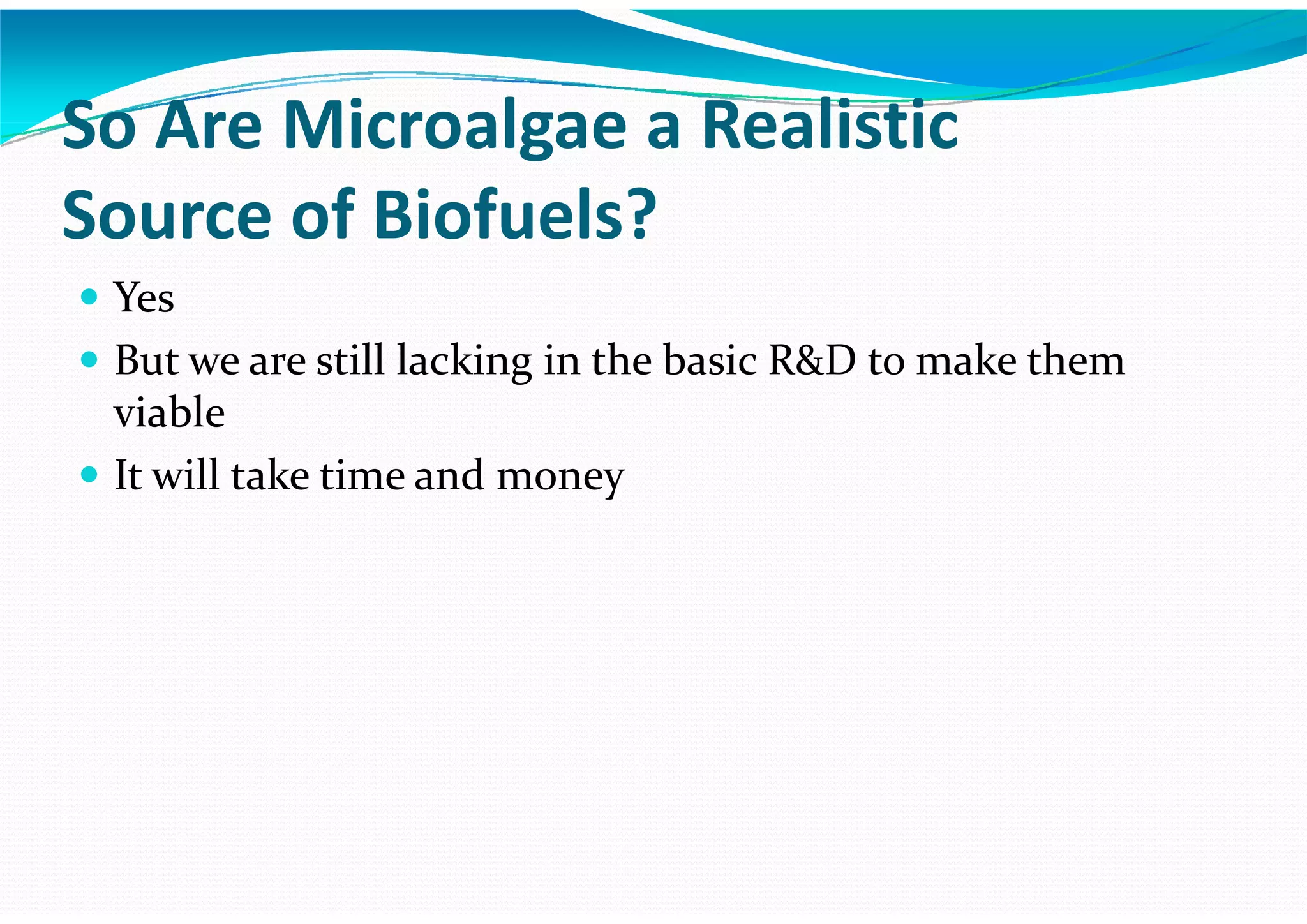 Algae – The Energy Solution2