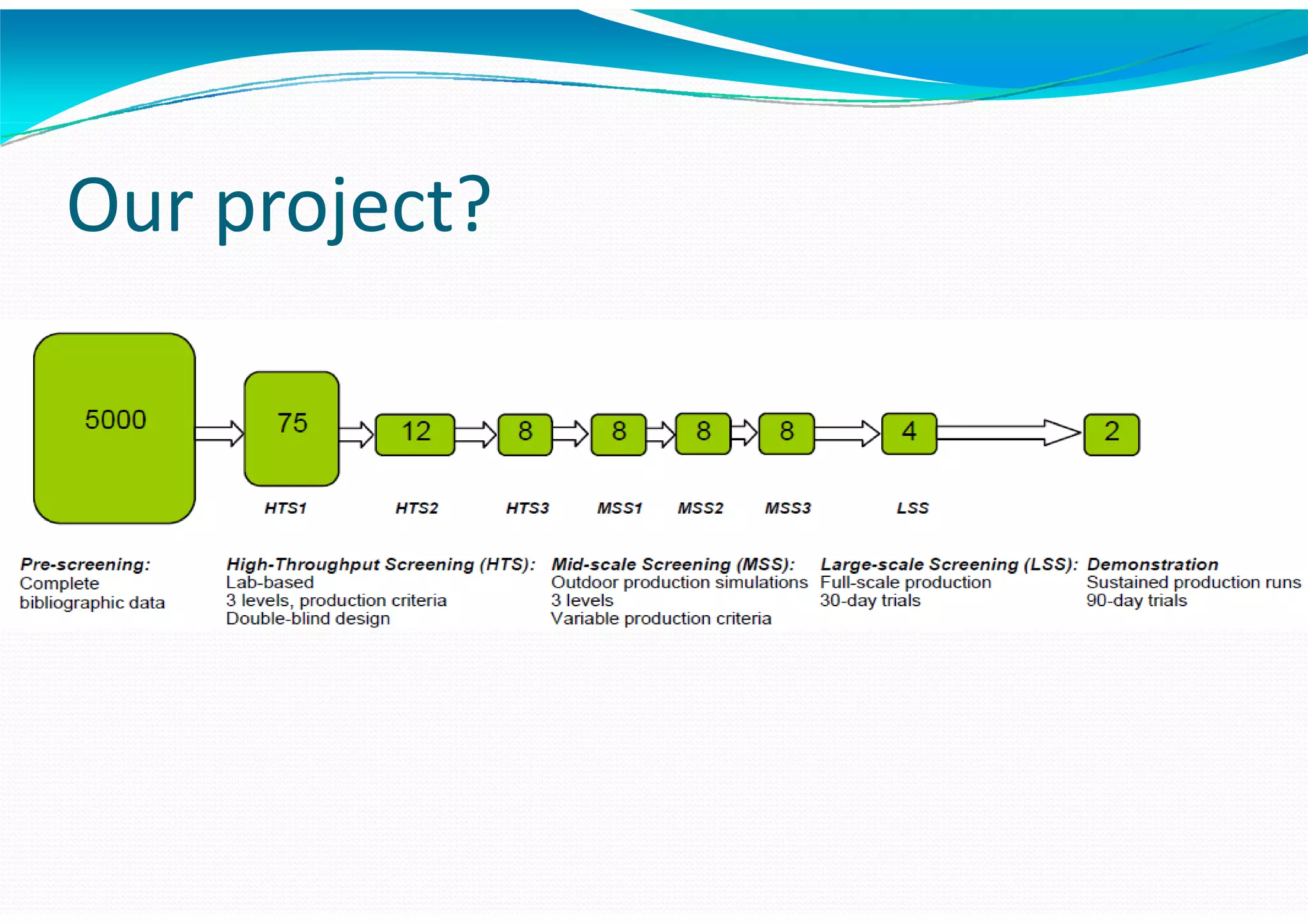 Algae – The Energy Solution2