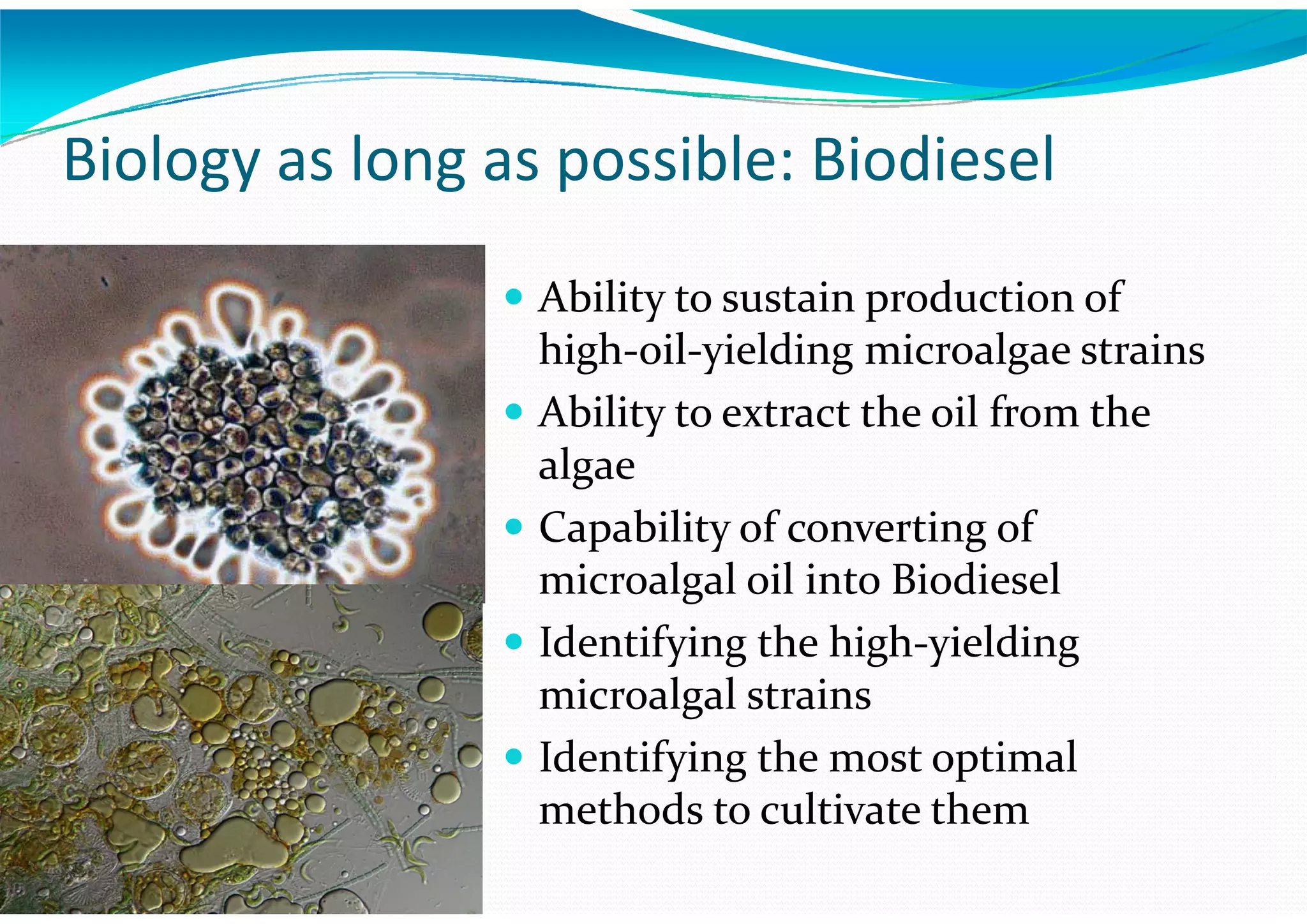 Algae – The Energy Solution2