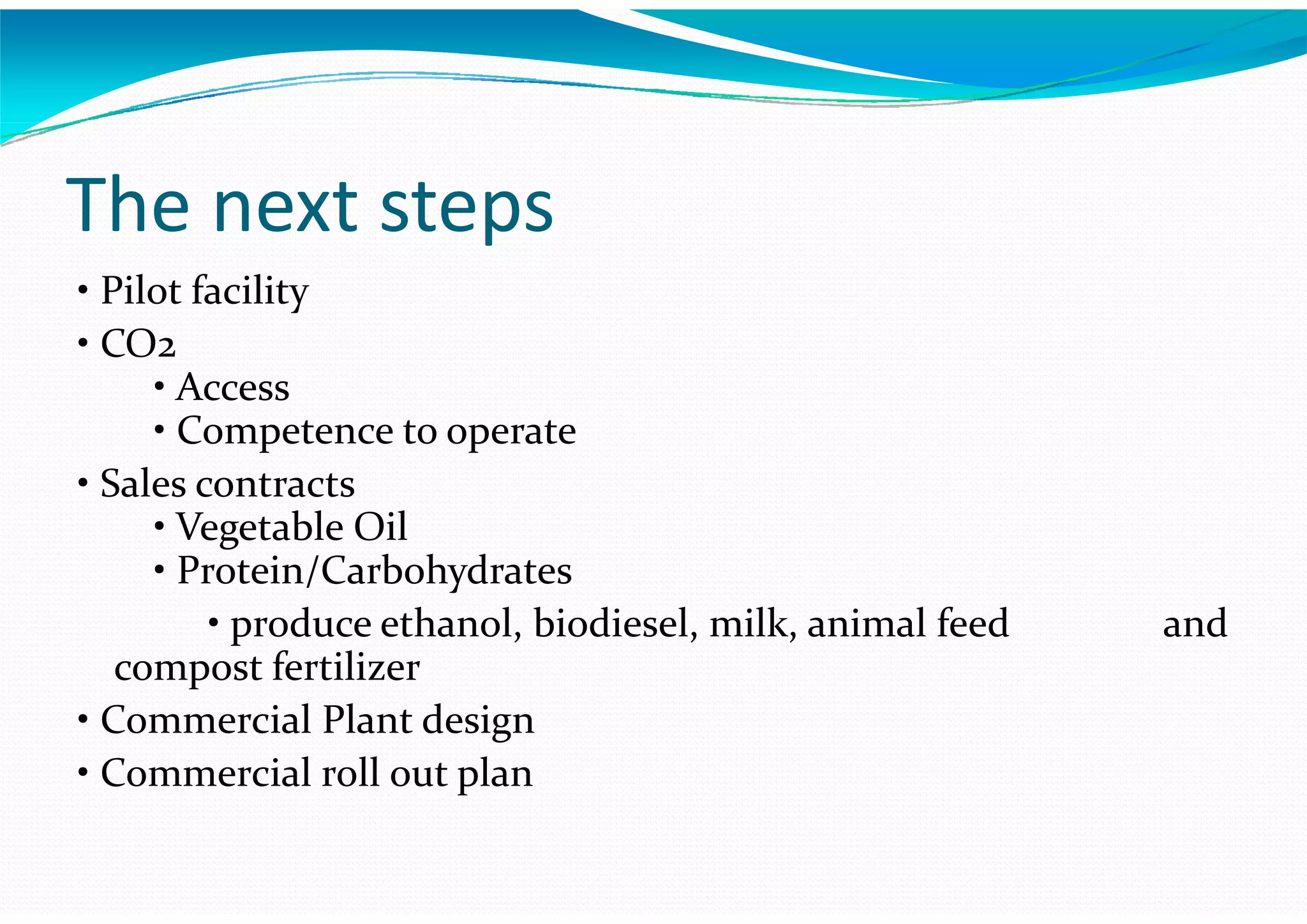 Algae – The Energy Solution2