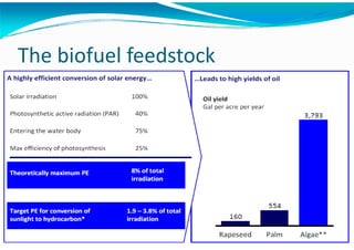 Algae – The Energy Solution2