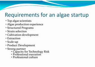 Algae – The Energy Solution2