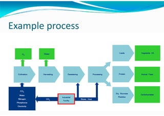 Algae – The Energy Solution2