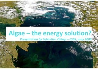 Algae  the energy solution?
Algae – the energy solution?
   Presentation by Sebastian Olényi – ESBS, may 2009
 
