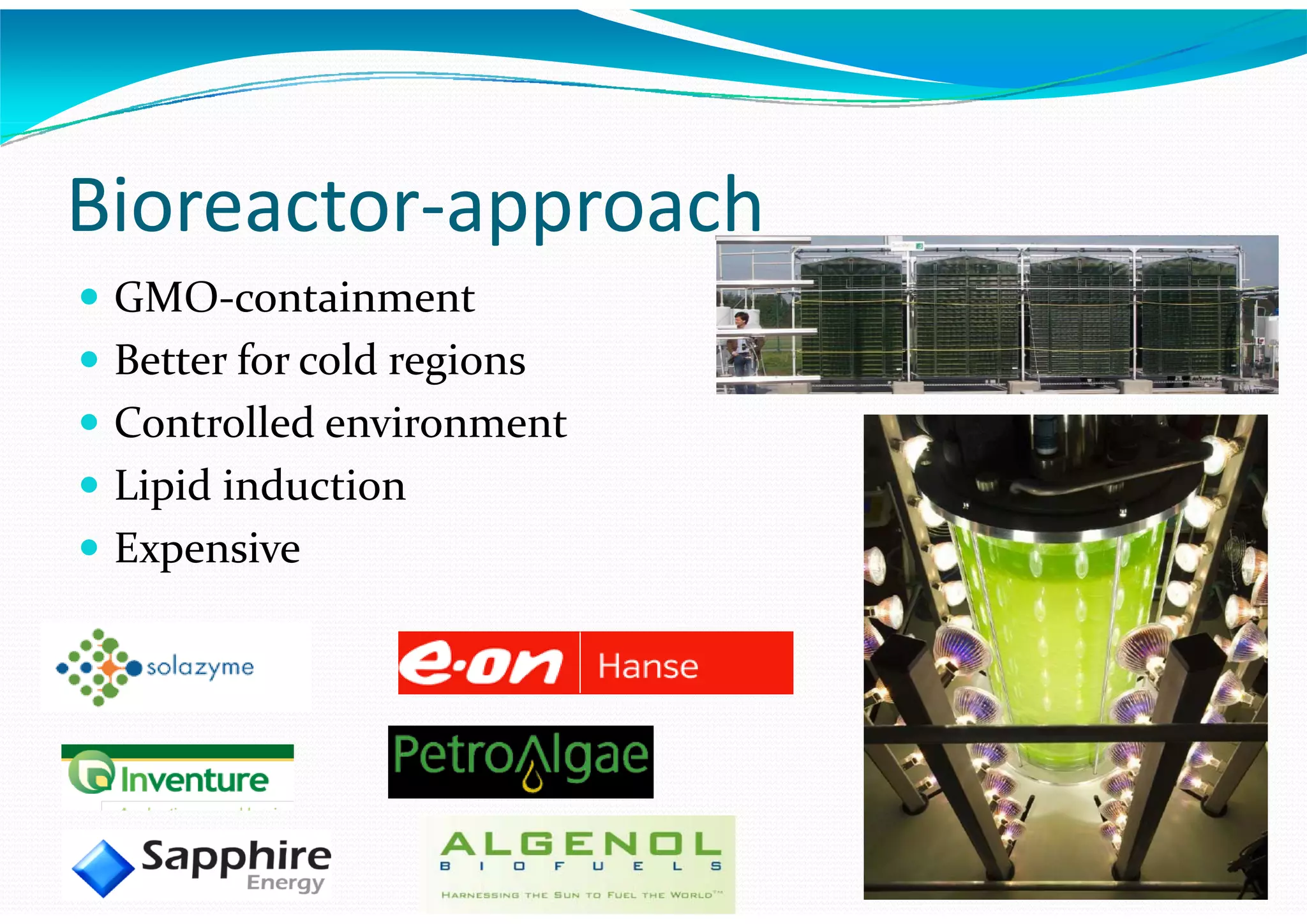 Algae – The Energy Solution2