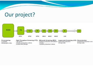 Algae – The Energy Solution2