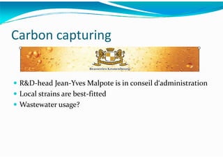 Algae – The Energy Solution2