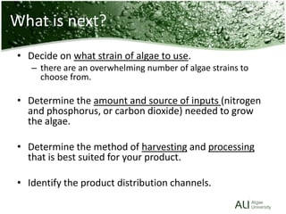 Decide on what strain of algae to use.,[object Object],there are an overwhelming number of algae strains to choose from. ,[object Object],Determine the amount and source of inputs (nitrogen and phosphorus, or carbon dioxide) needed to grow the algae.,[object Object],Determine the method of harvesting and processing that is best suited for your product.,[object Object],Identify the product distribution channels.,[object Object],What is next?,[object Object]